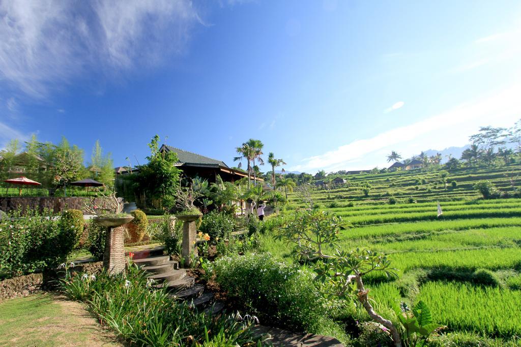 Sawah Indah Gasthof Sidemen (Bali)